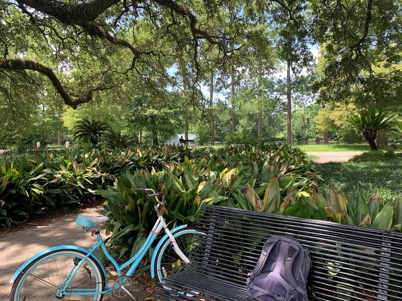 A bench in Audubon park that Kaitlyn used as her work space. 